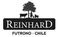 Reinhard.cl